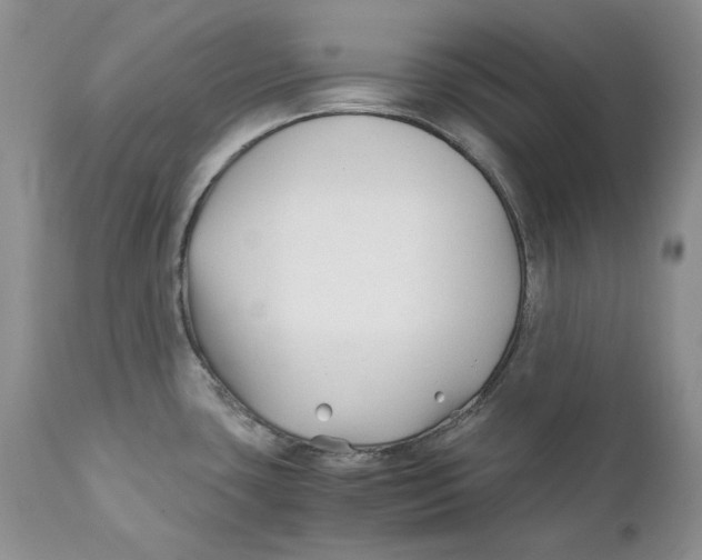 X0000110931435200907091511