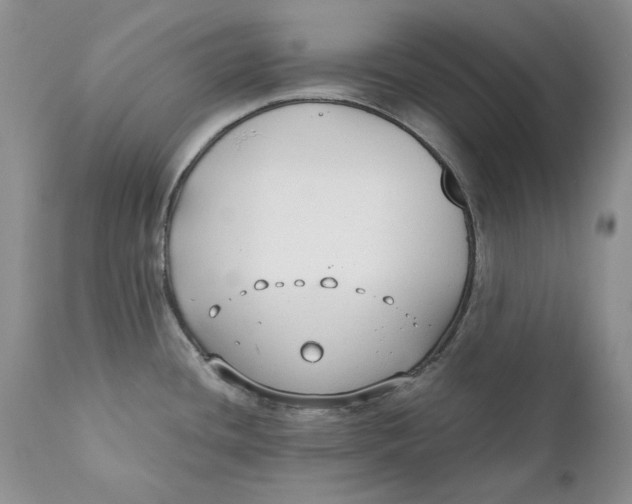 X0000110931436200907091511