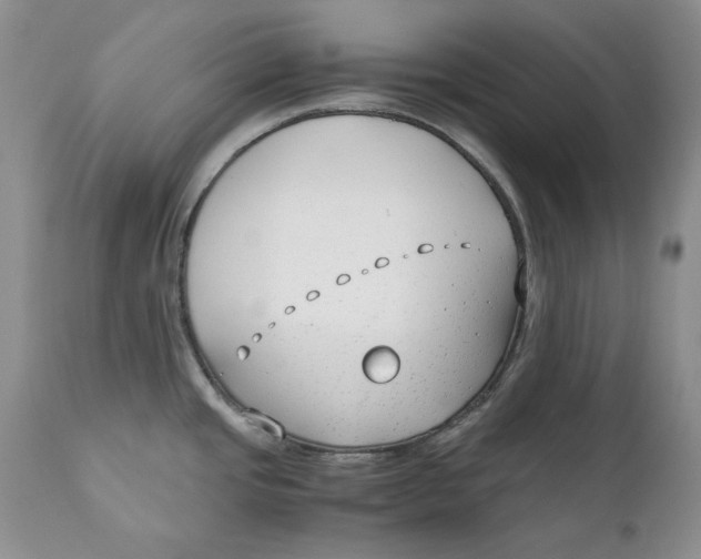 X0000110931437200907091511