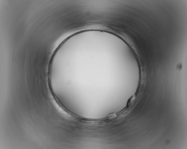 X0000110931438200907091511