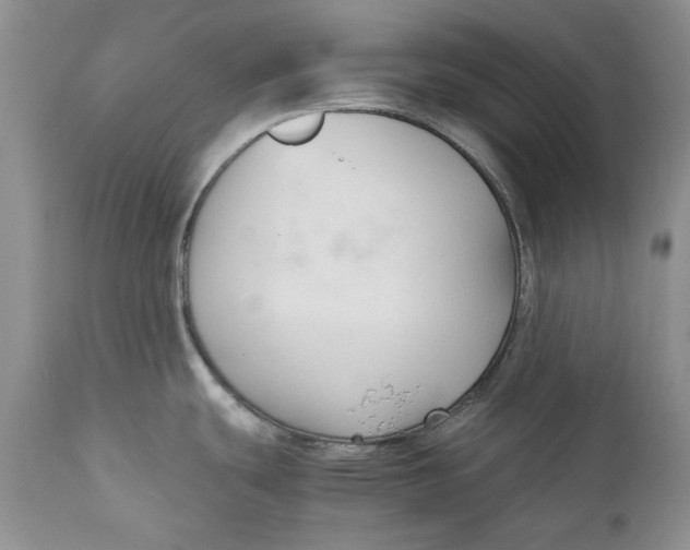 X0000110931439200907091511