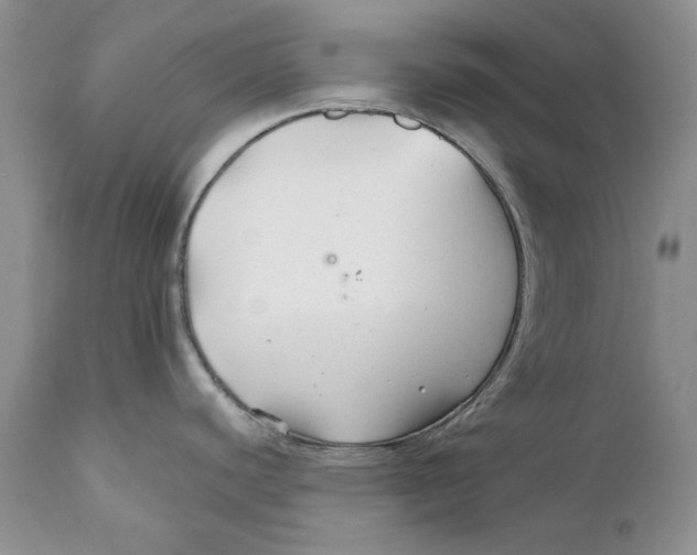 X0000110931440200907091511