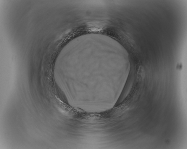 X0000110931441200907091510