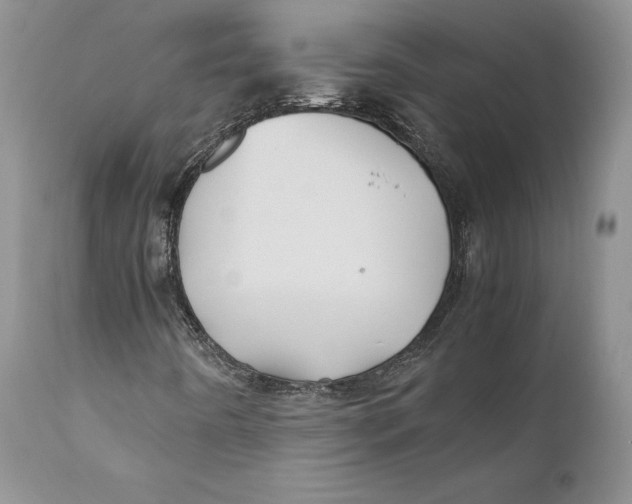 X0000110931442200907091510