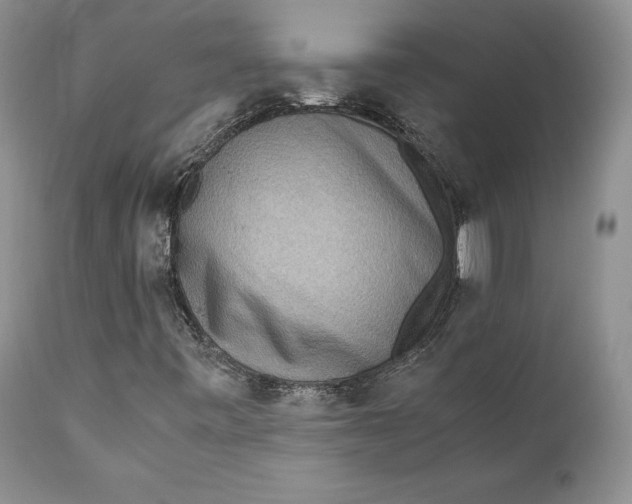 X0000110931443200907091510