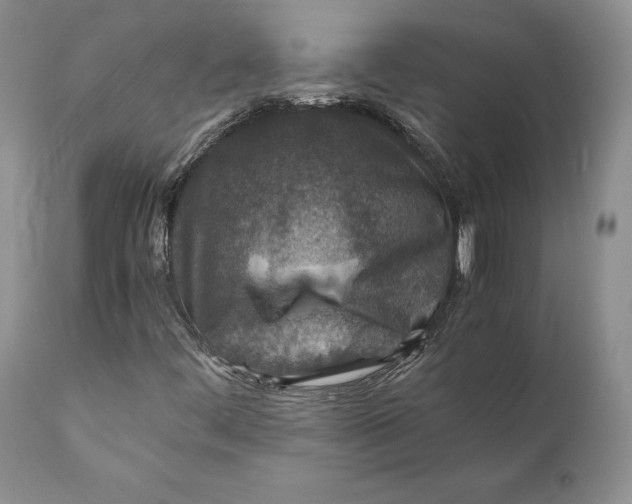 X0000110931444200907091510