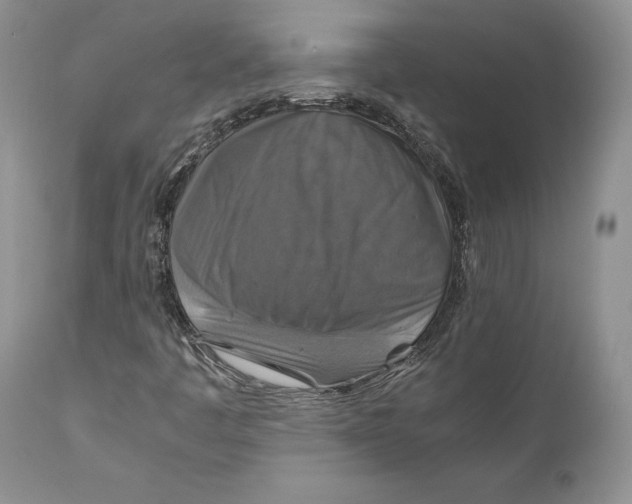 X0000110931445200907091510