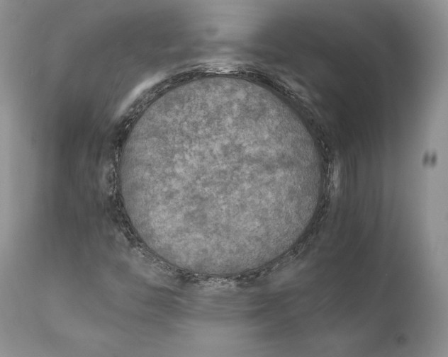 X0000110931446200907091510