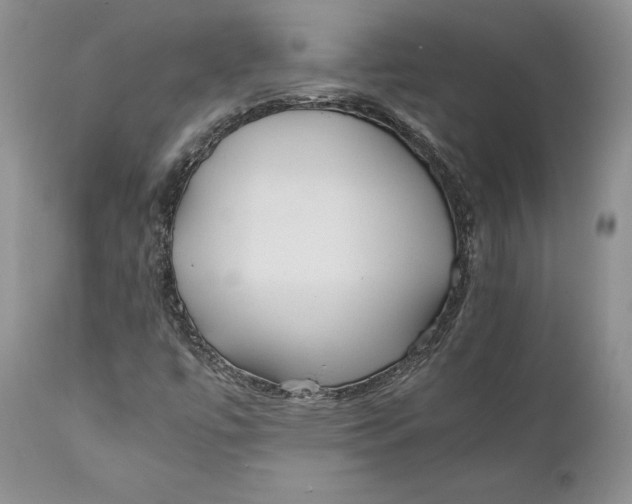 X0000110931447200907091510