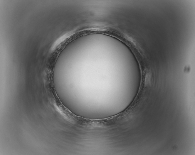 X0000110931448200907091510