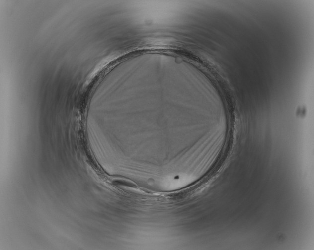 X0000110931449200907091510