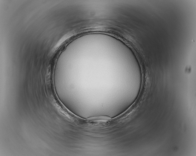 X0000110931450200907091510