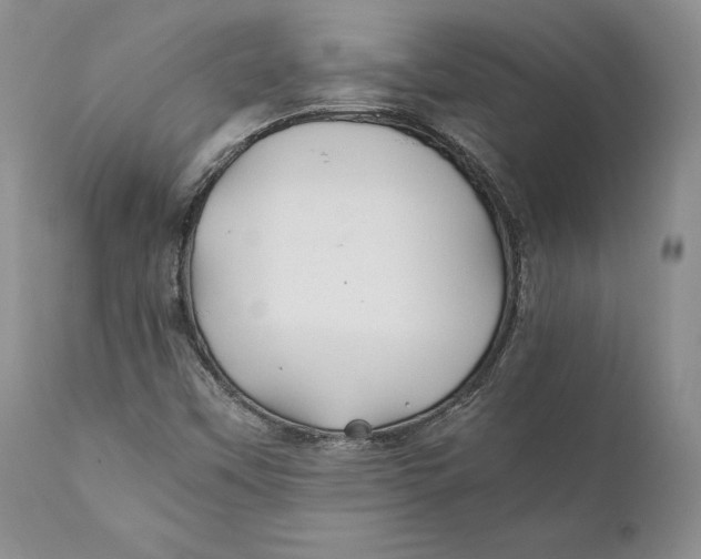 X0000110931451200907091510