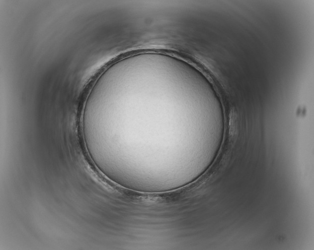 X0000110931452200907091510