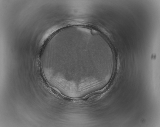 X0000110931453200907091510