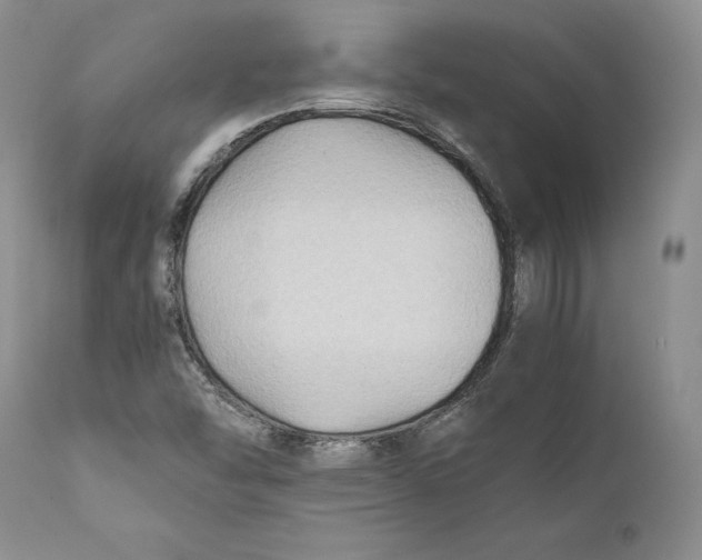 X0000110931454200907091510