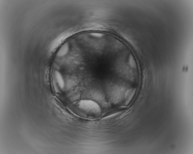 X0000110931455200907091510