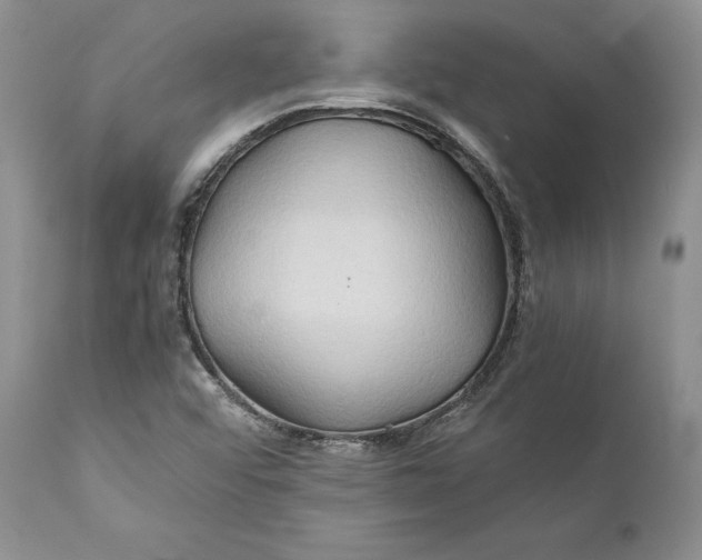 X0000110931456200907091510