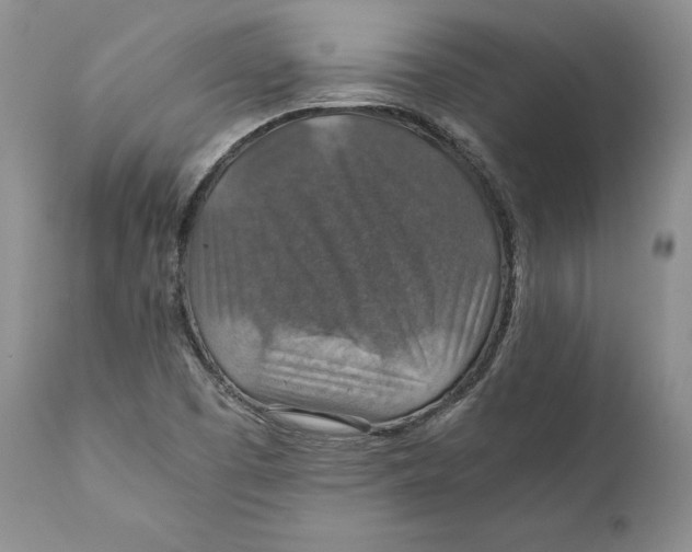 X0000110931457200907091510