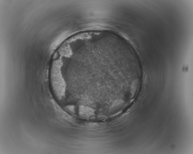 X0000110931459200907091510