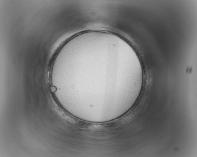 X0000110931462200907091509
