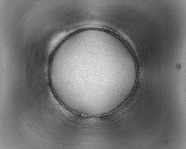 X0000110931464200907091509