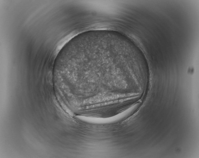 X0000110931465200907091509
