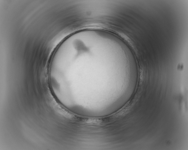 X0000110931466200907091509