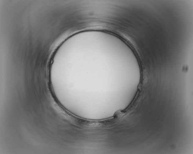 X0000110931467200907091509