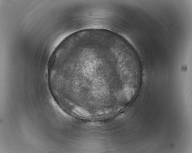 X0000110931468200907091509