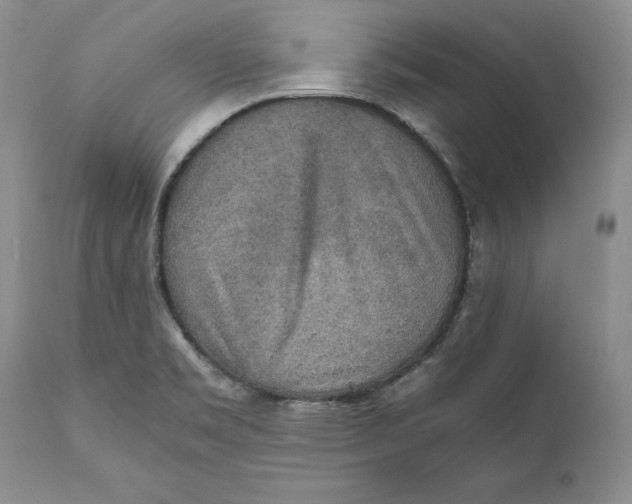X0000110931469200907091509