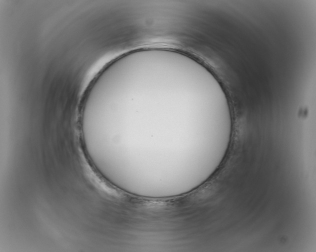 X0000110931470200907091509