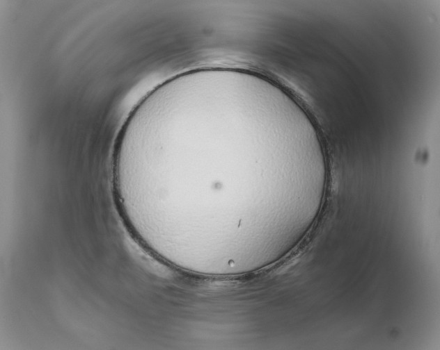 X0000110931471200907091509