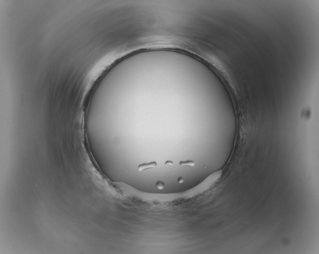 X0000110931472200907091509