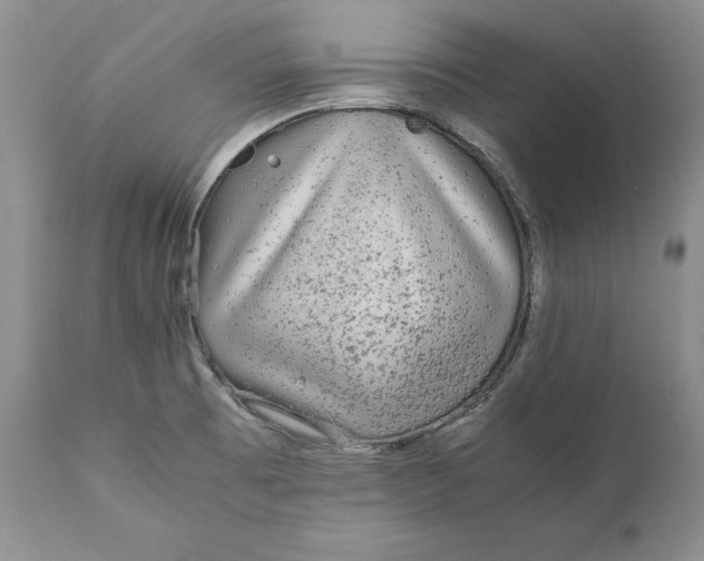 X0000110931473200907091509