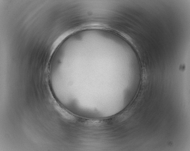 X0000110931474200907091509
