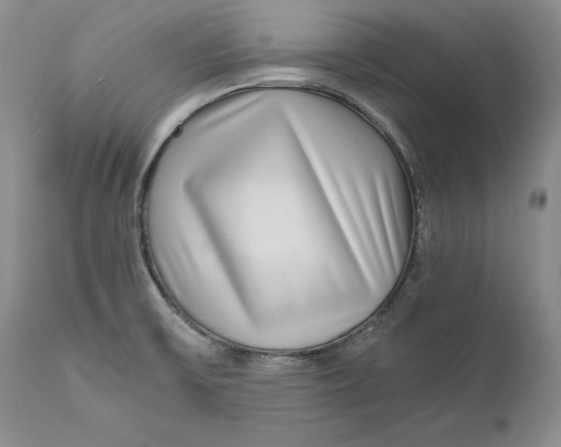 X0000110931475200907091509