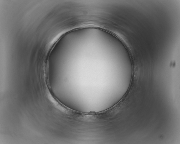 X0000110931476200907091509