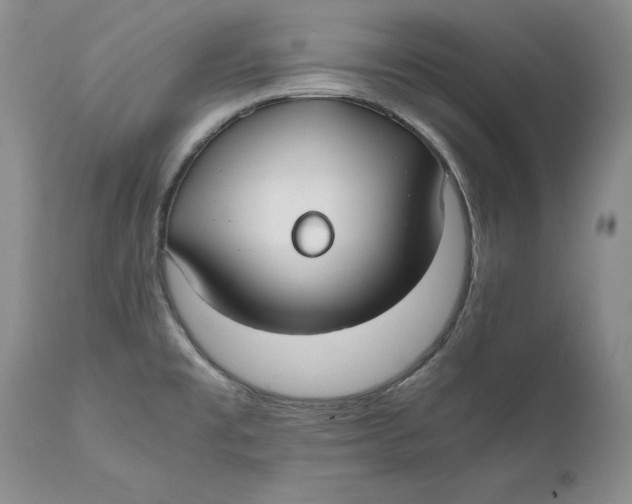 X0000110931477200907091509