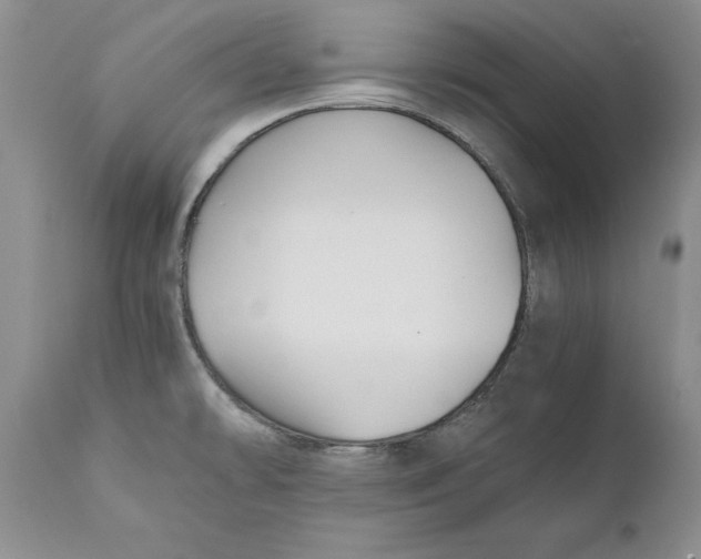 X0000110931478200907091509