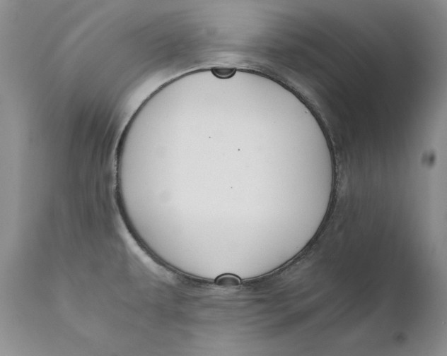 X0000110931479200907091509