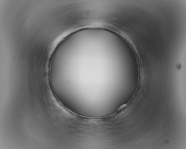 X0000110931480200907091509
