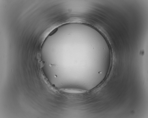 X0000110931481200907091509