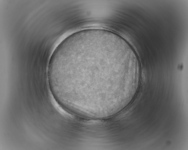 X0000110931482200907091509