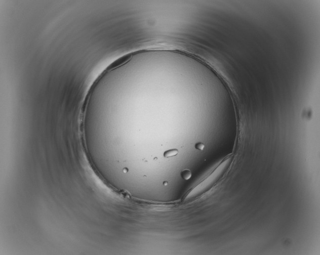 X0000110931484200907091509