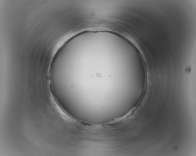 X0000110931485200907091509