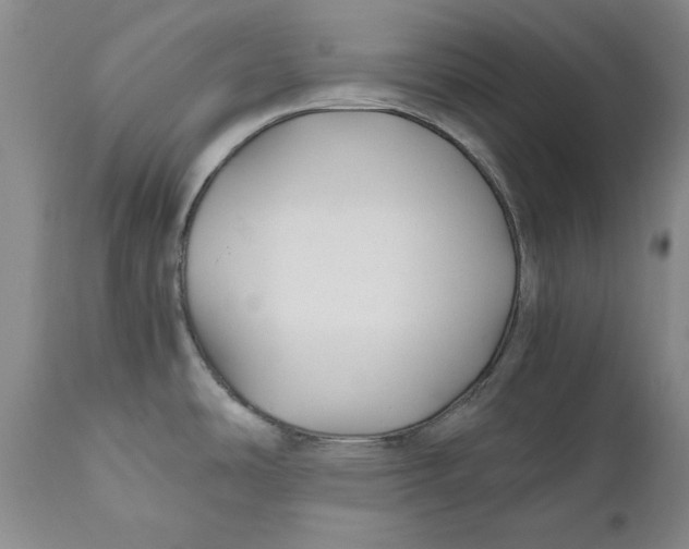 X0000110931486200907091509