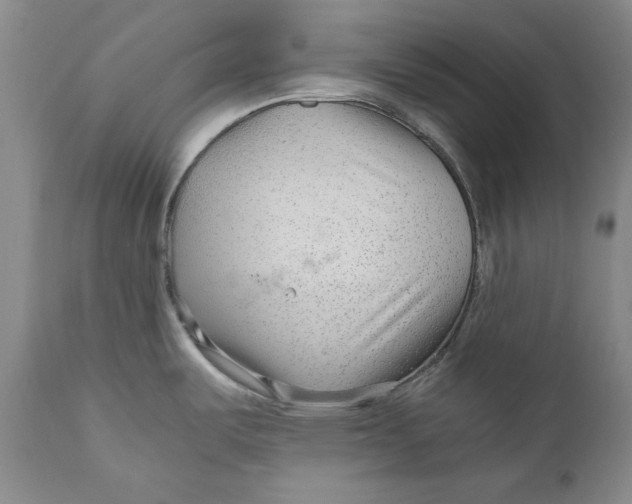 X0000110931487200907091509