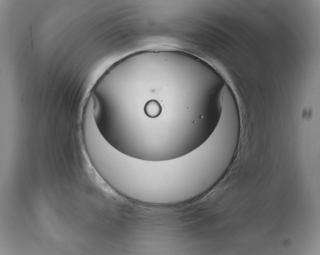 X0000110931488200907091509
