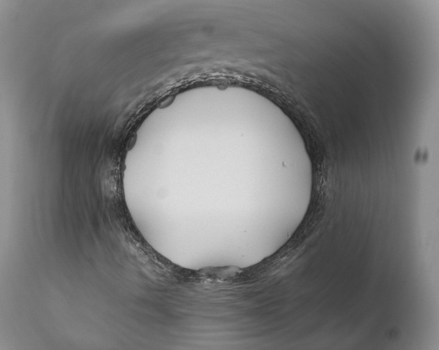 X0000110931490200907091508
